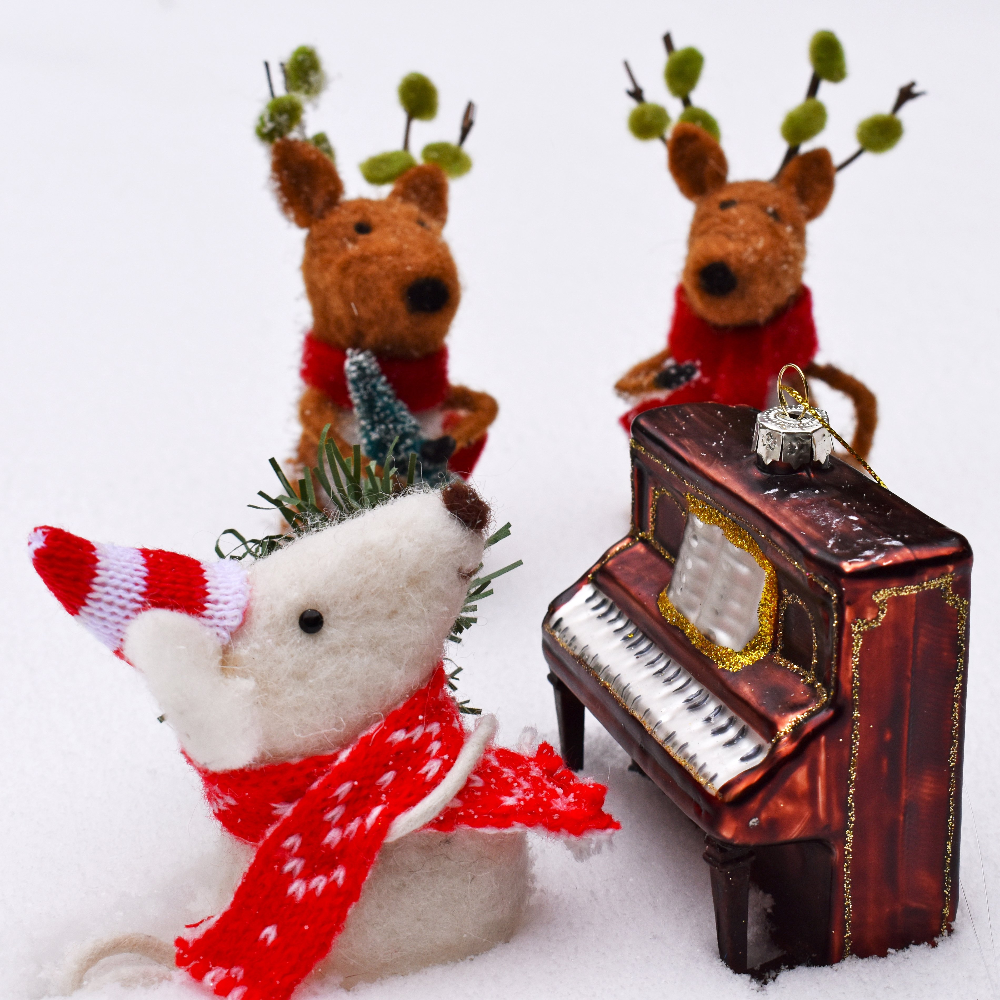 SNOW DAY COVER IMAGE.jpg